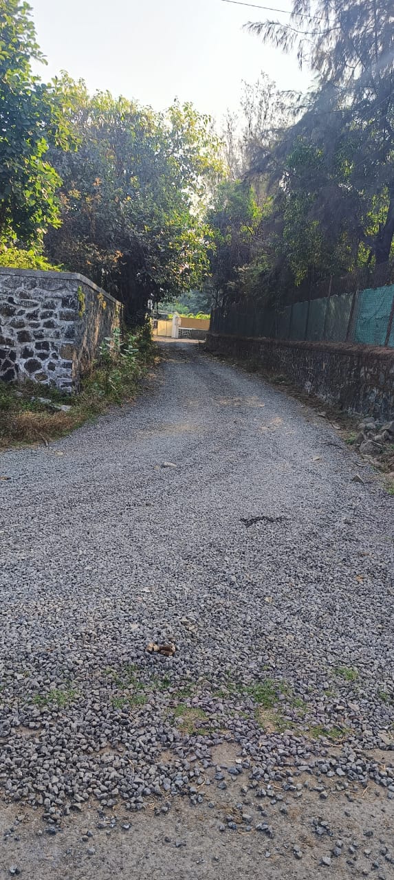 रस्ता दुरुस्ती